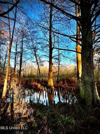 $365,000 | 4060 Highway 24, Liberty, MS 39645