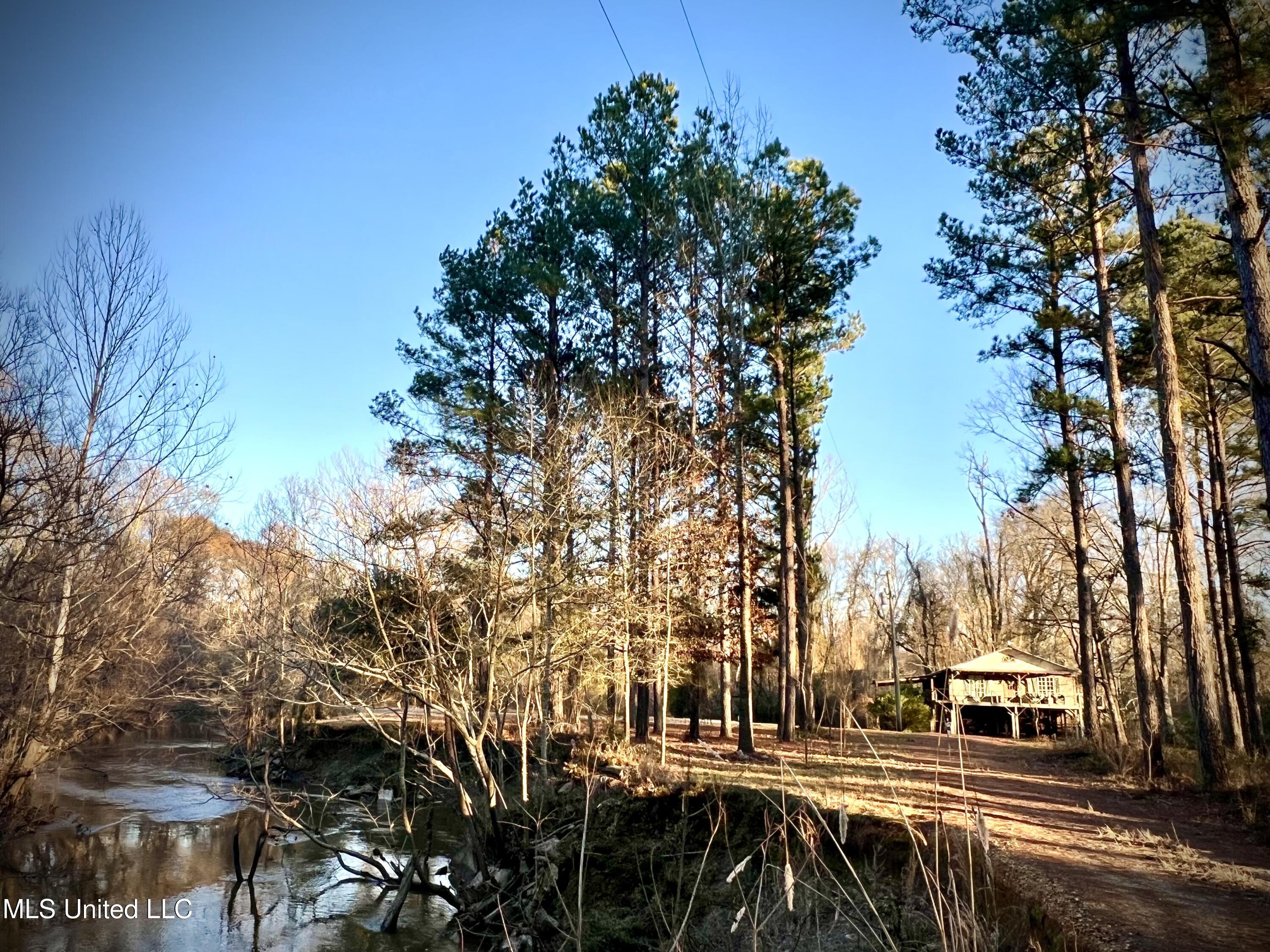 4060 Highway 24 Liberty, MS 39645 - Photo 3 of 22 IMG_2805