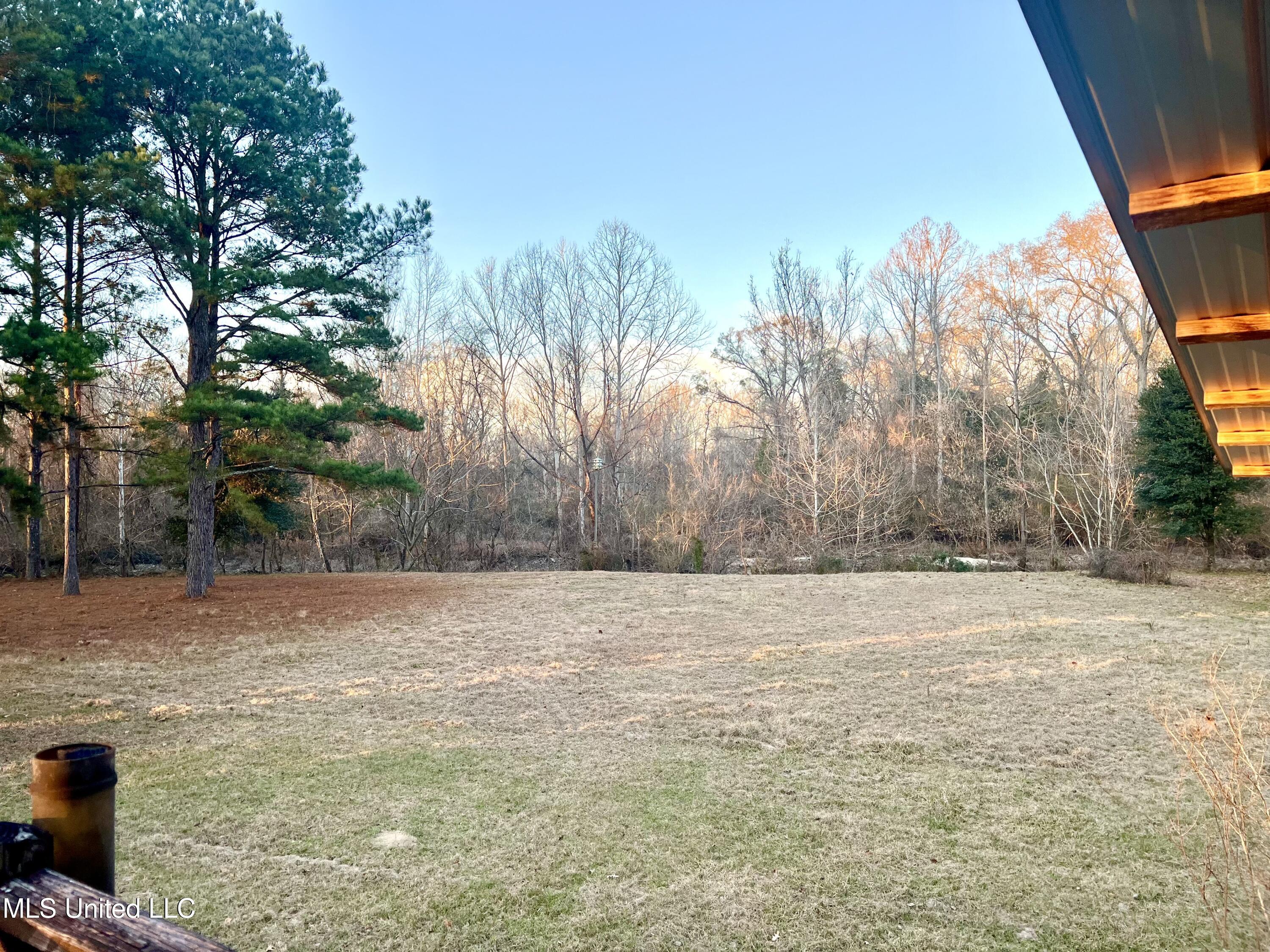 4060 Highway 24 Liberty, MS 39645 - Photo 8 of 22 IMG_2866
