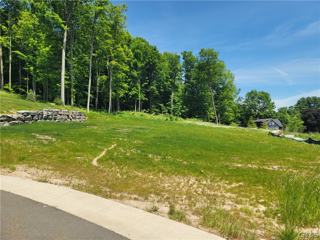 Lot 23 Baltimore Ridge Marcellus, NY 13108 - Photo 8 of 43