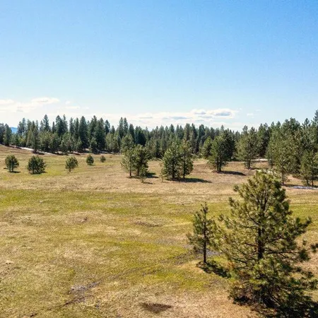 $750,000 | Lot 36 To Be Determined, Unit 36, McCall, ID 83638