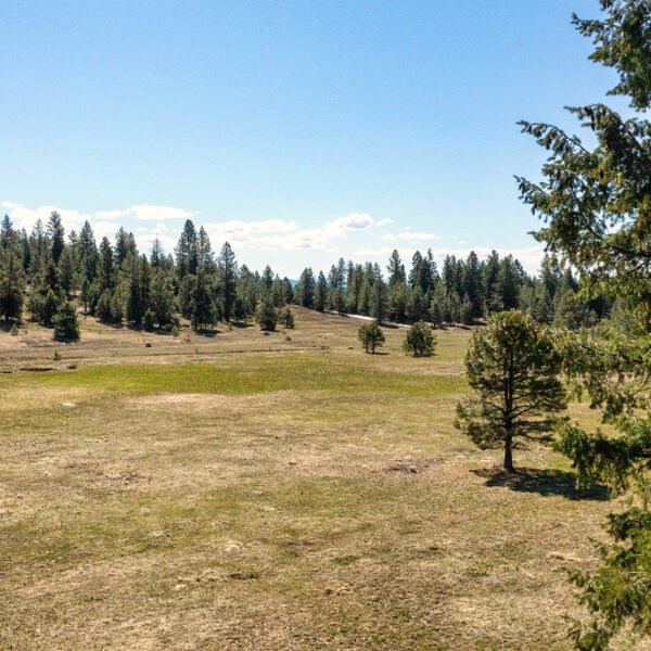 Lot 36 To Be Determined, Unit 36 McCall, ID 83638 - Photo 2 of 2