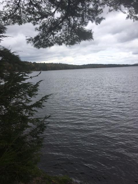 44 Flower Way Ellsworth, ME 04605 - Photo 6 of 14 IMG_4900