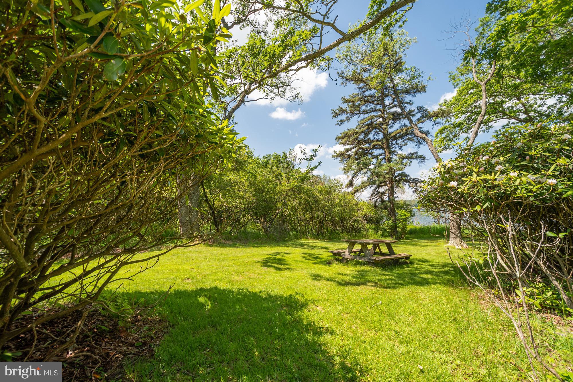 2895 Turkey Neck Road Swanton, MD 21561 - Photo 5 of 62