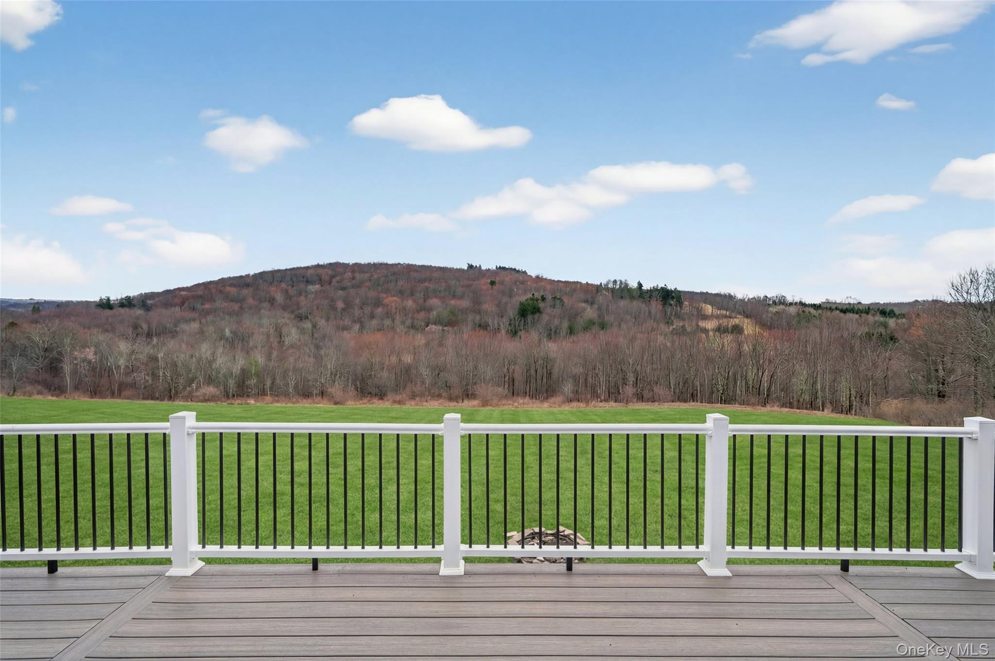 129 Nelson Road Hankins, NY 12741 - Photo 25 of 31 a view of a terrace