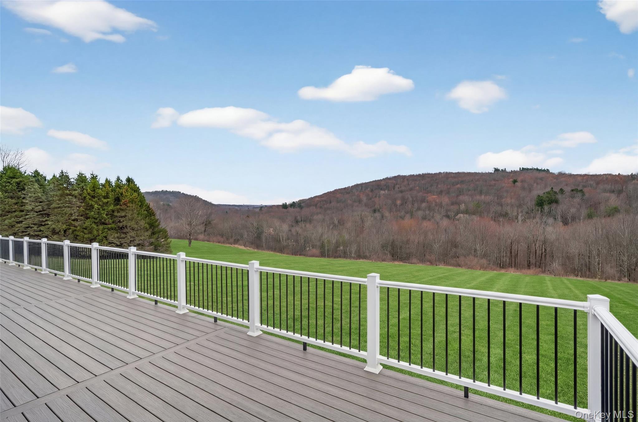 129 Nelson Road Hankins, NY 12741 - Photo 5 of 31 a view of a balcony with mountain view