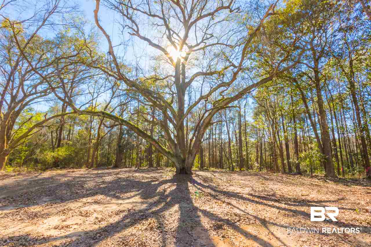 25923 Chene Trace Robertsdale, AL 36567 - Photo 4 of 9