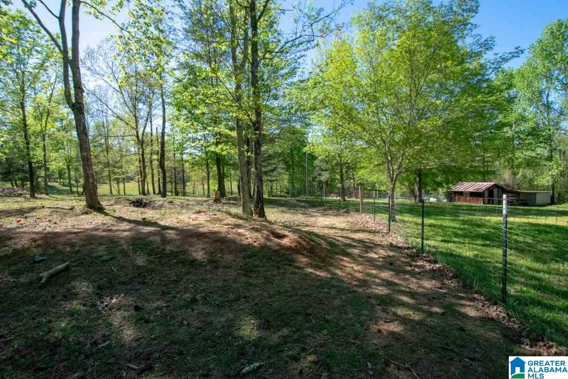 240 Raccoon Trail Hayden, AL 35079 - Photo 38 of 47 Gallery Image 38