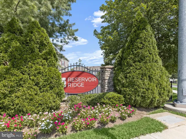 a view of a swimming pool with a lounge chairs