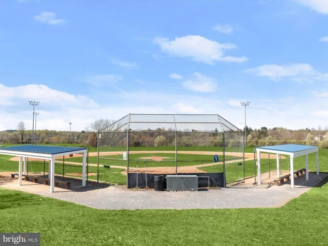 a view of park with tree
