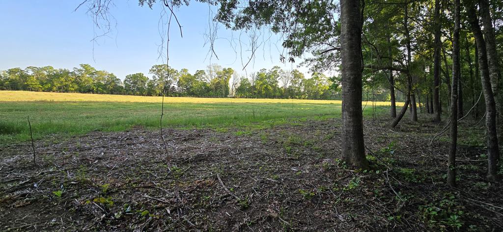Lot 7 Acres Grady Garner Road Slocomb, AL 36375 - Photo 18 of 58