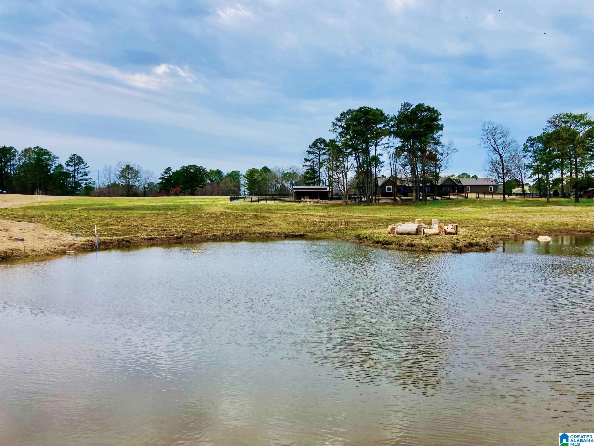 1396 Sun Valley Road Harpersville, AL 35078 - Photo 56 of 82