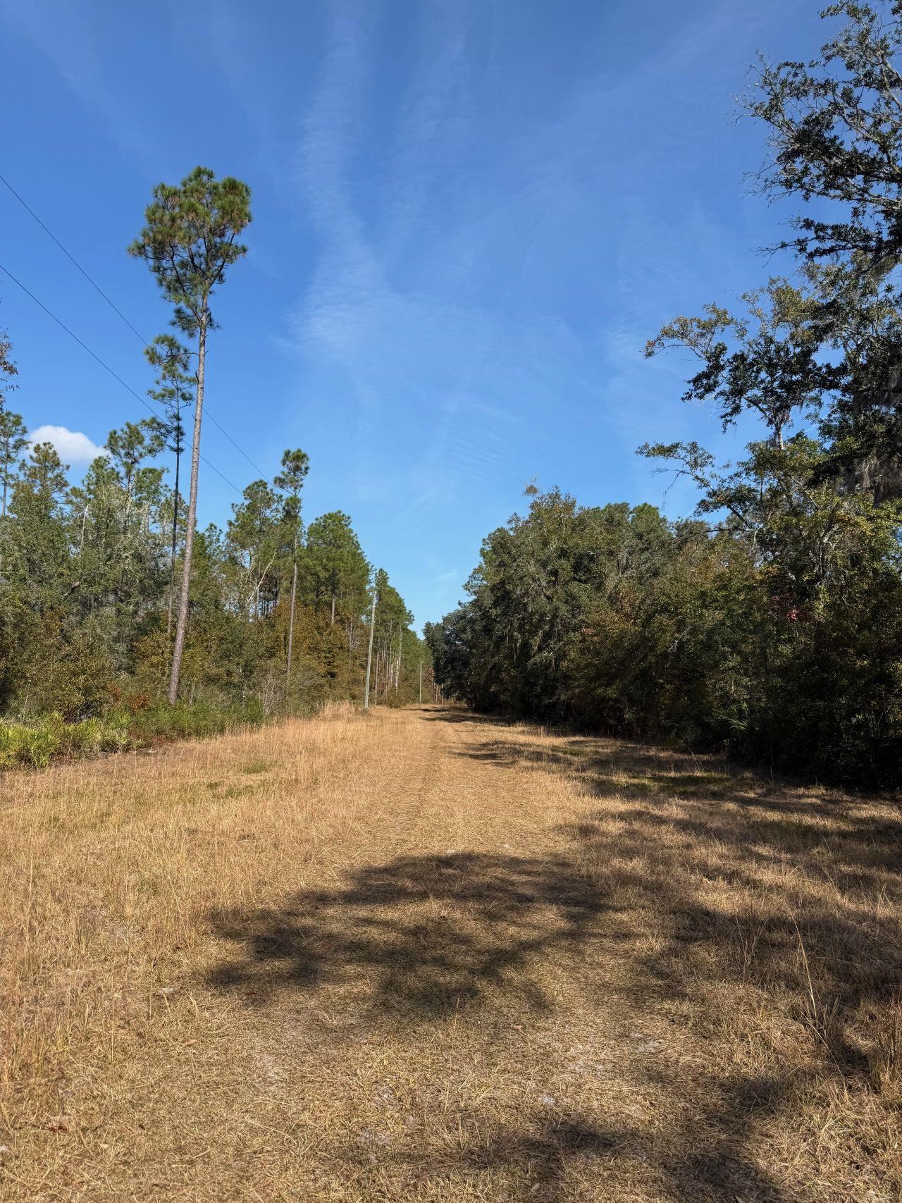 Vacant Southwest Ontario Road Greenville, FL 32331 - Photo 3 of 14