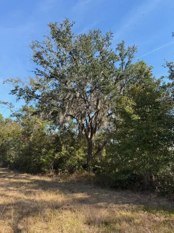 $55,000 | Vacant Southwest Ontario Road, Greenville, FL 32331