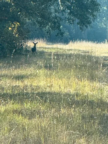 $55,000 | Vacant Southwest Ontario Road, Greenville, FL 32331