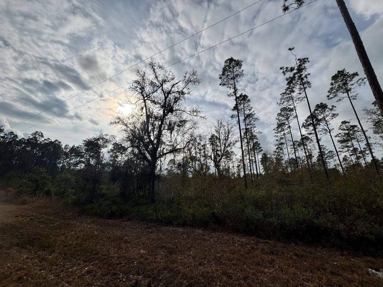 Vacant Southwest Ontario Road Greenville, FL 32331 - Photo 7 of 14