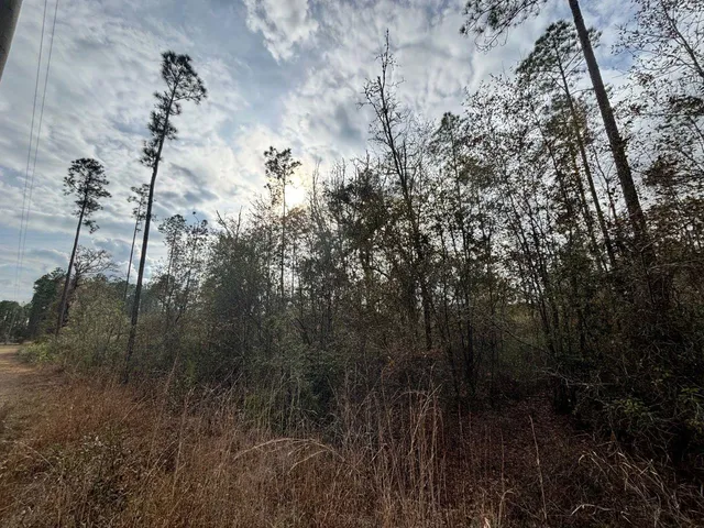 $55,000 | Vacant Southwest Ontario Road, Greenville, FL 32331