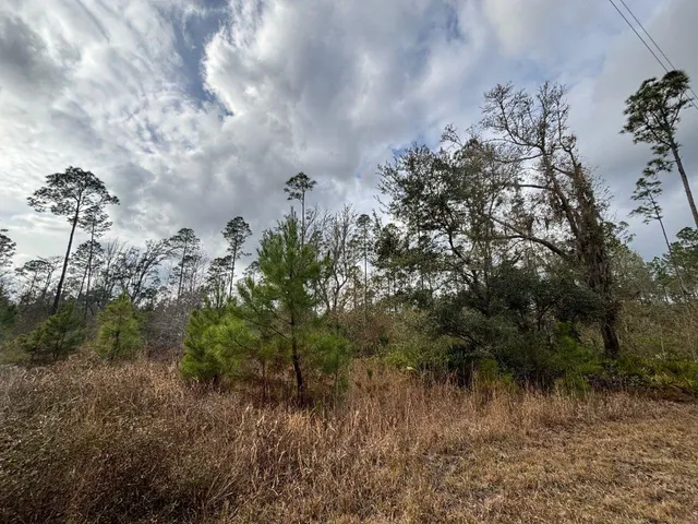 $55,000 | Vacant Southwest Ontario Road, Greenville, FL 32331