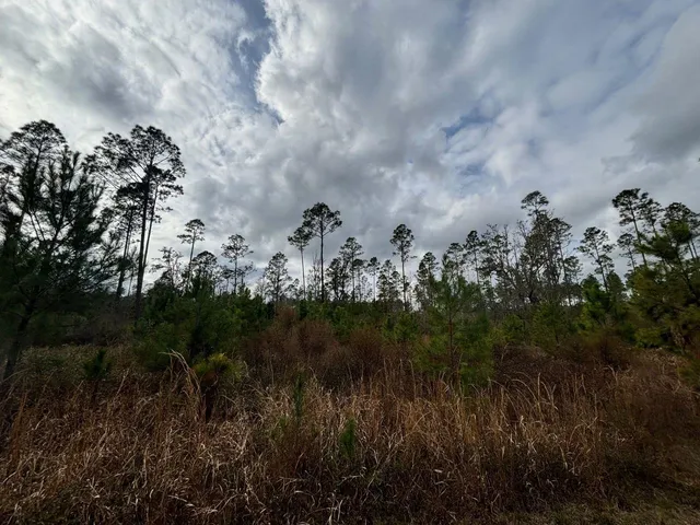 $55,000 | Vacant Southwest Ontario Road, Greenville, FL 32331