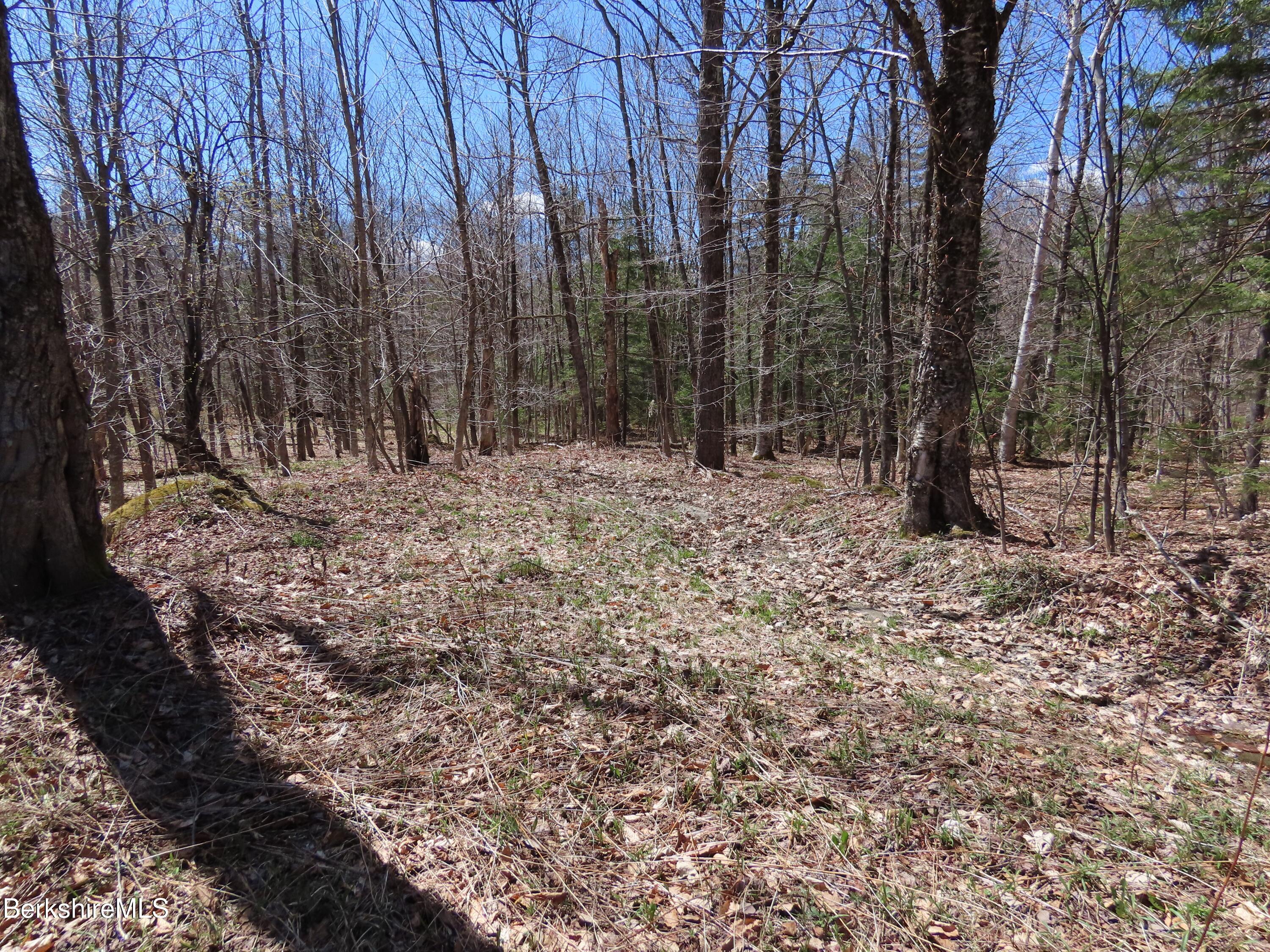 Blackstone Road North Adams, MA 01247 - Photo 13 of 16 IMG_7996 c