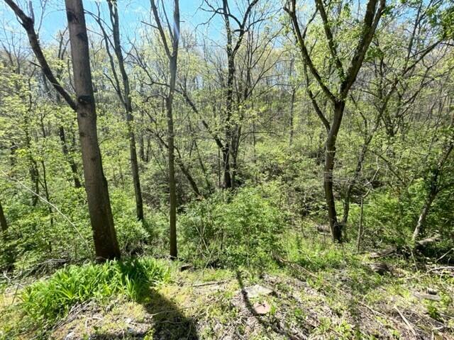 3781 Wolf Road Covington, KY 41015 - Photo 11 of 12 Gallery Image 11