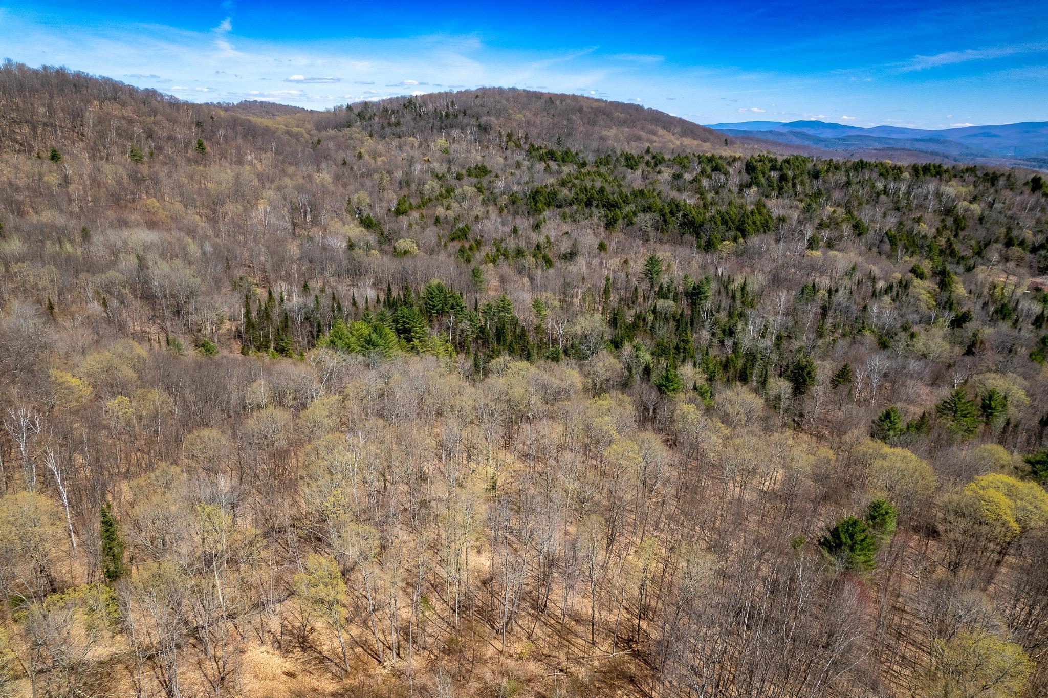 0 Vershire Center Road Vershire, VT 05079 - Photo 1 of 16