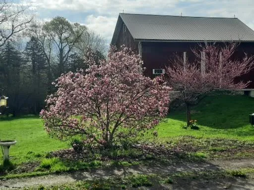 $495,000 | 5352 Skinner Road, Arcadia, NY 14505