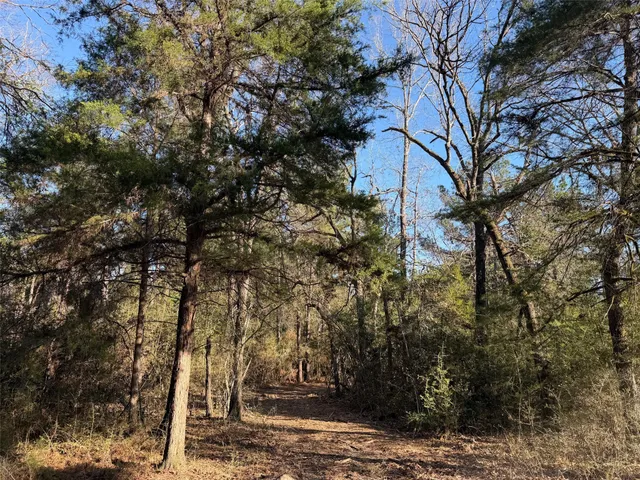 $280,000 | 295 Oakwood Tx 75833, Oakwood, TX 75855