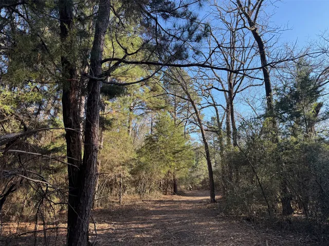 $280,000 | 295 Oakwood Tx 75833, Oakwood, TX 75855