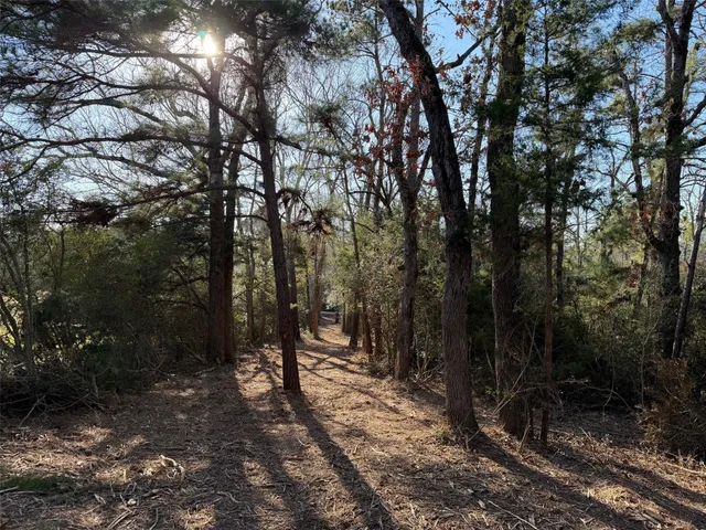 $280,000 | 295 Oakwood Tx 75833, Oakwood, TX 75855