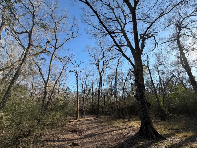 $280,000 | 295 Oakwood Tx 75833, Oakwood, TX 75855