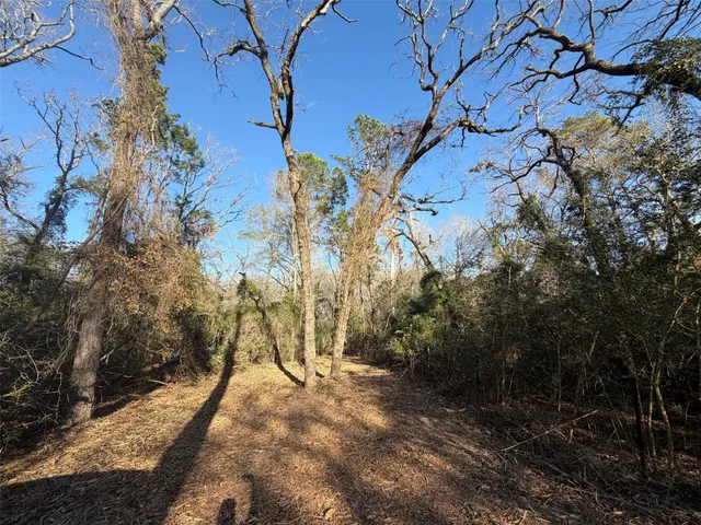 $280,000 | 295 Oakwood Tx 75833, Oakwood, TX 75855