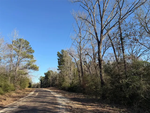 $280,000 | 295 Oakwood Tx 75833, Oakwood, TX 75855