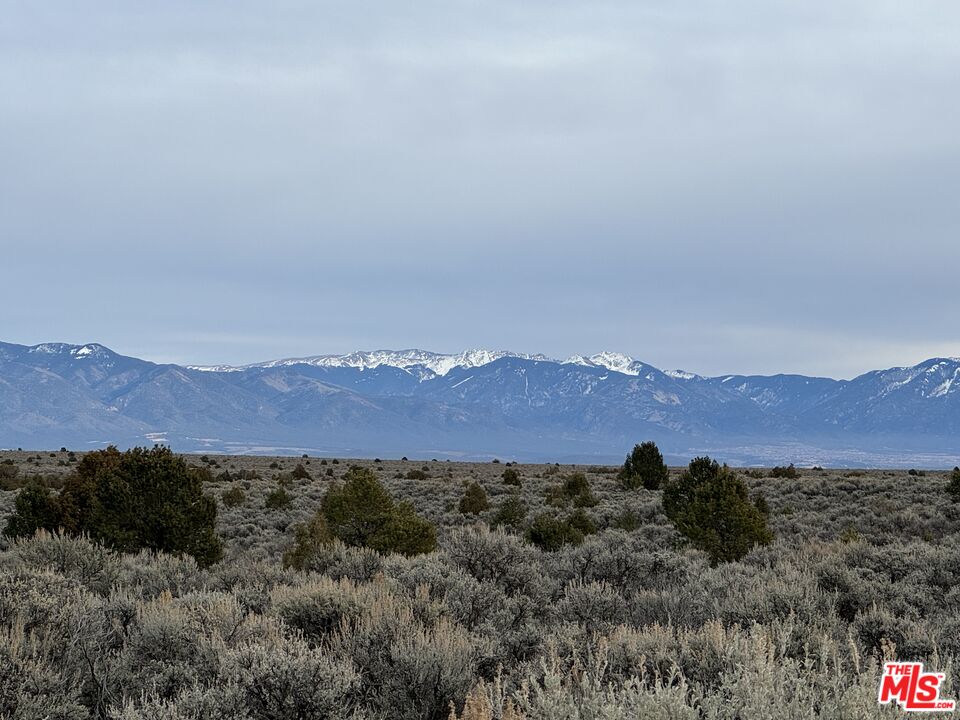 a view of a lush green field with mountains in the background
