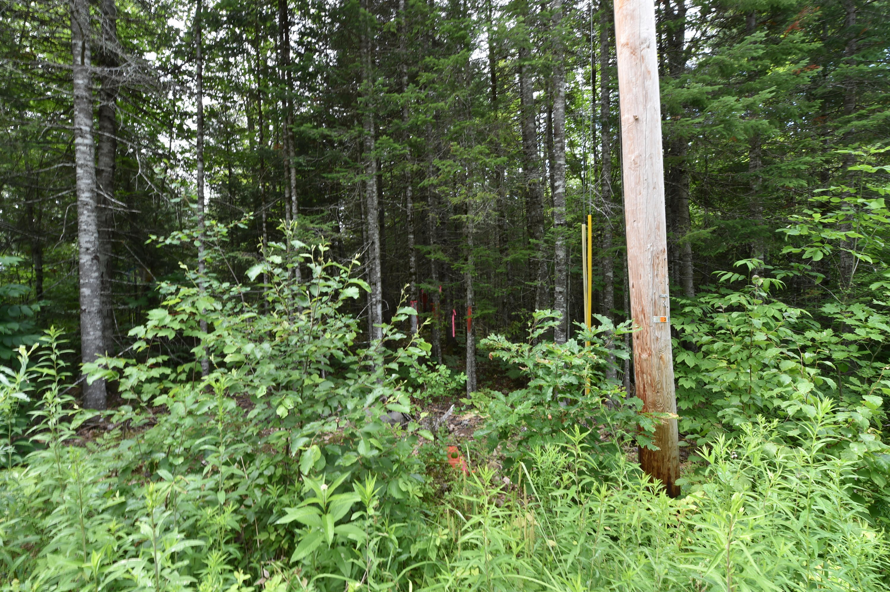 0 Dunham Road Etna, ME 04434 - Photo 16 of 17 DSC_9310