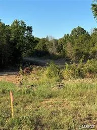 $100,000 | 9 Walker Way, Monroe City, MO 63456