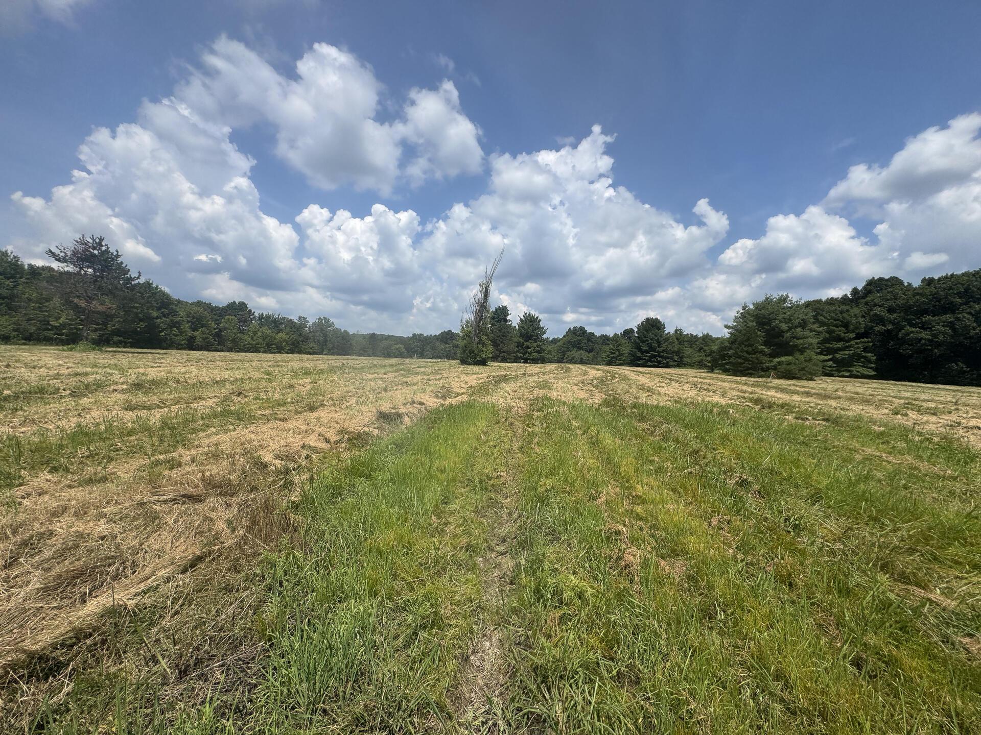 370 Golf Course Road, Unit TRACT 5 SKYLINEACRES) Waverly, OH 45690 - Photo 19 of 38 CT-19