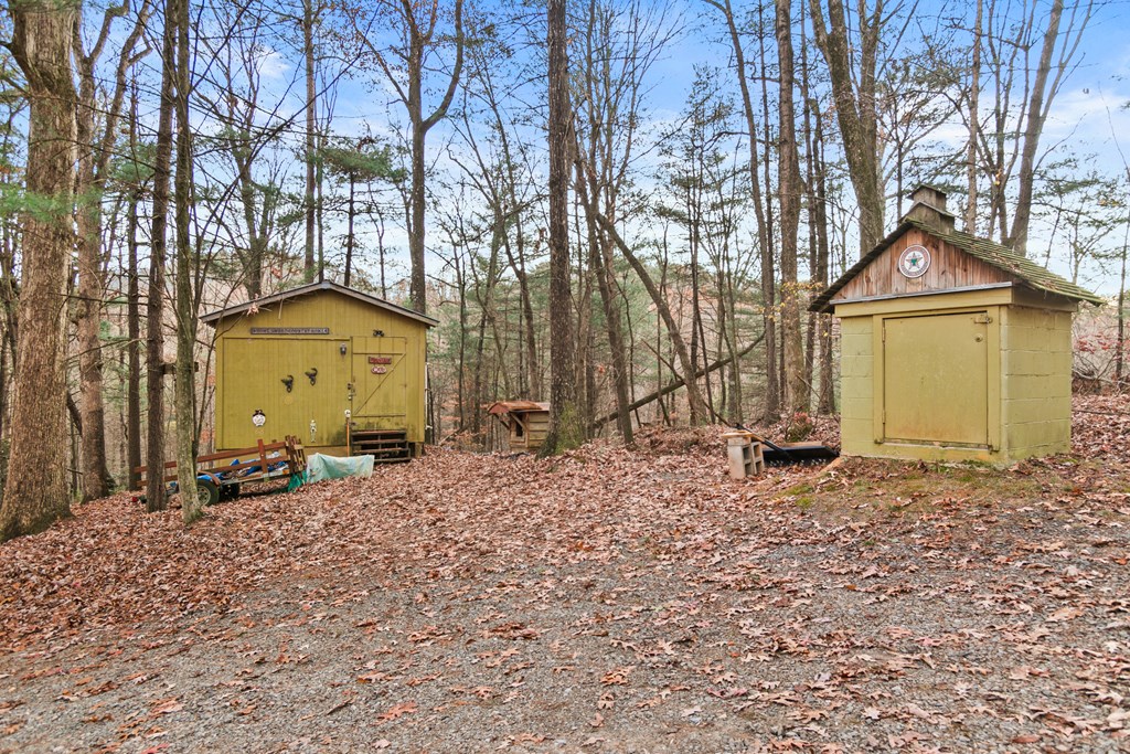 101 Harper Valley Road Ellijay, GA 30540 - Photo 47 of 58
