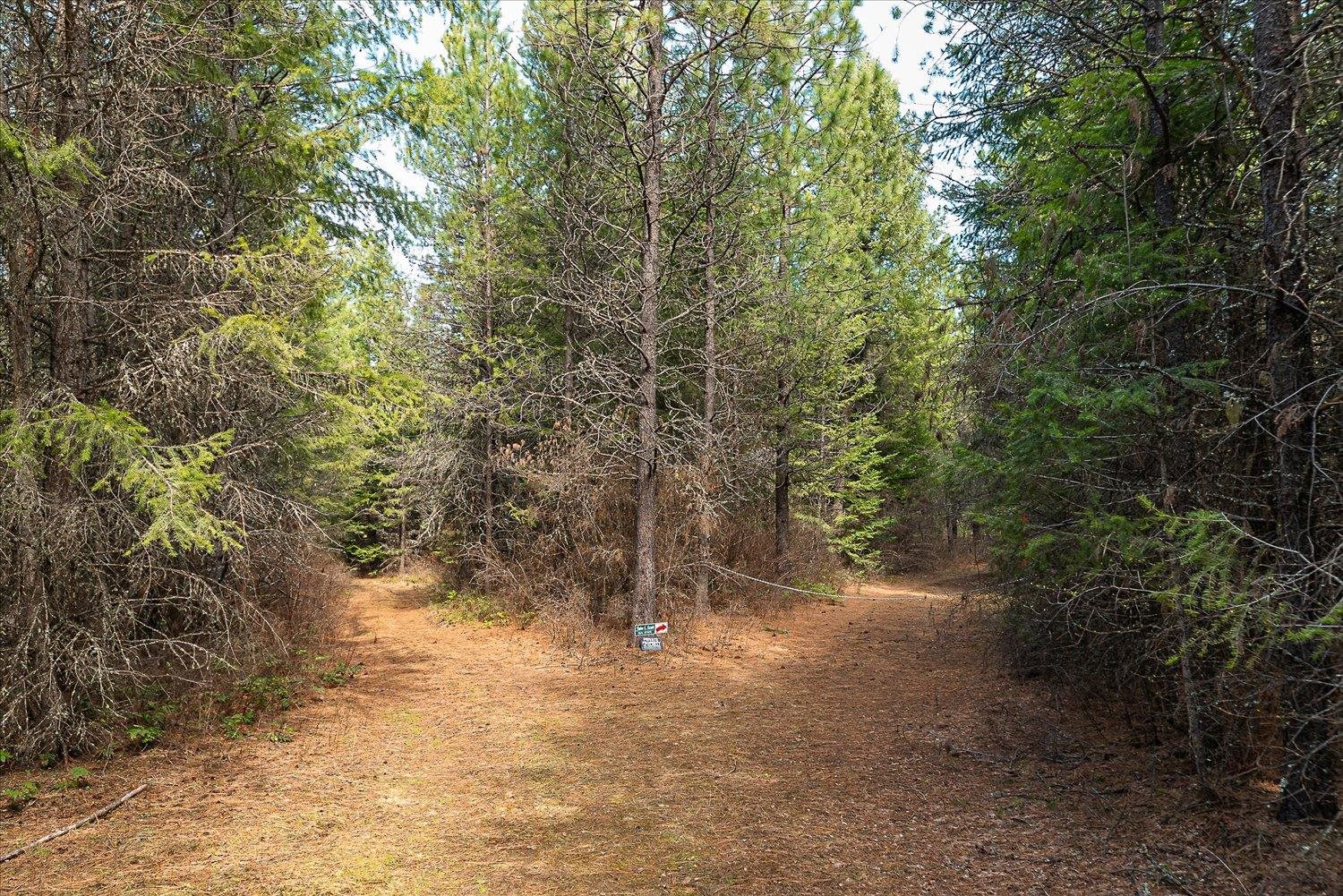 963 Thompson Road Elk, WA 99009 - Photo 14 of 30 Gallery Image 14