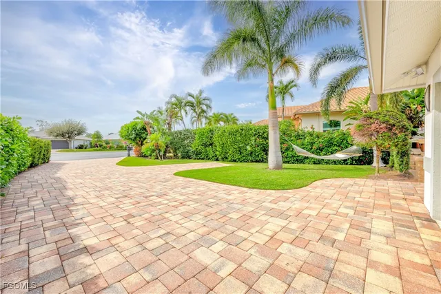 a view of a park with plants and palm trees