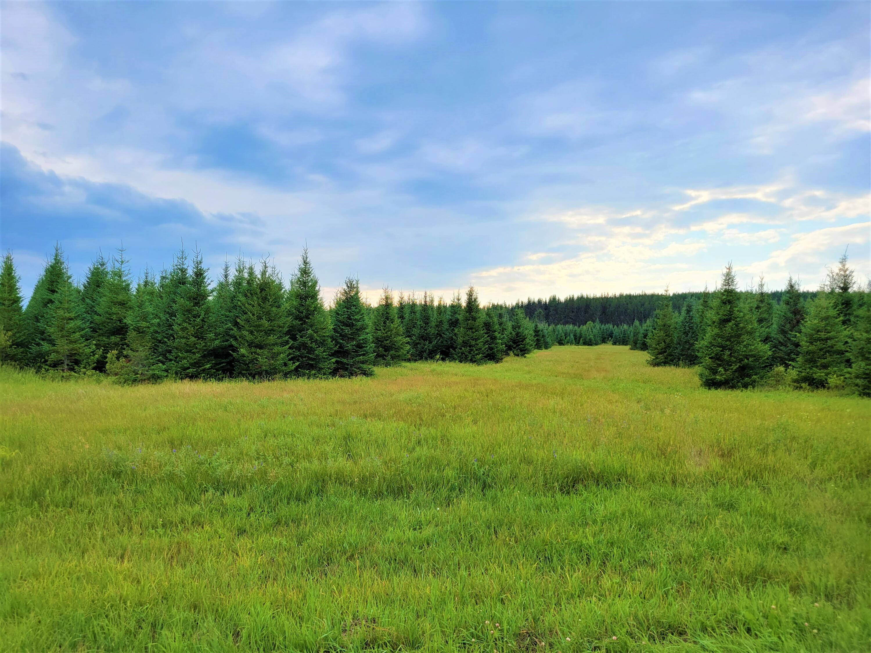 Map38-lot3 Doucette Road Grand Isle, ME 04746 - Photo 21 of 25 5