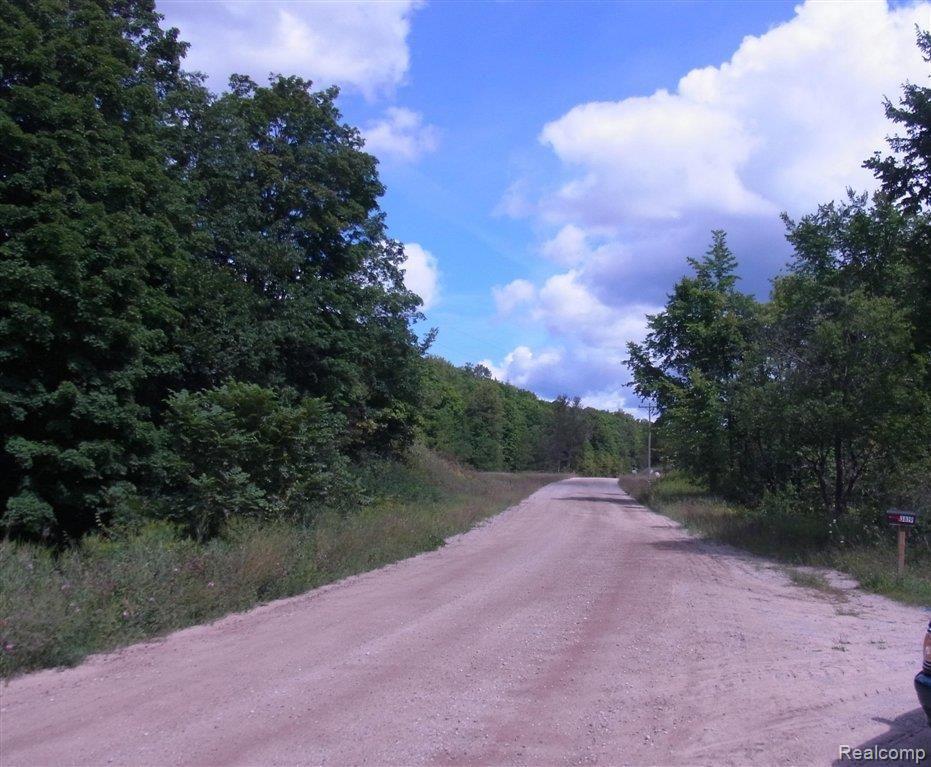 3819 Webster Road Elmira, MI 49730 - Photo 2 of 2 7090695912 Street view.jpg