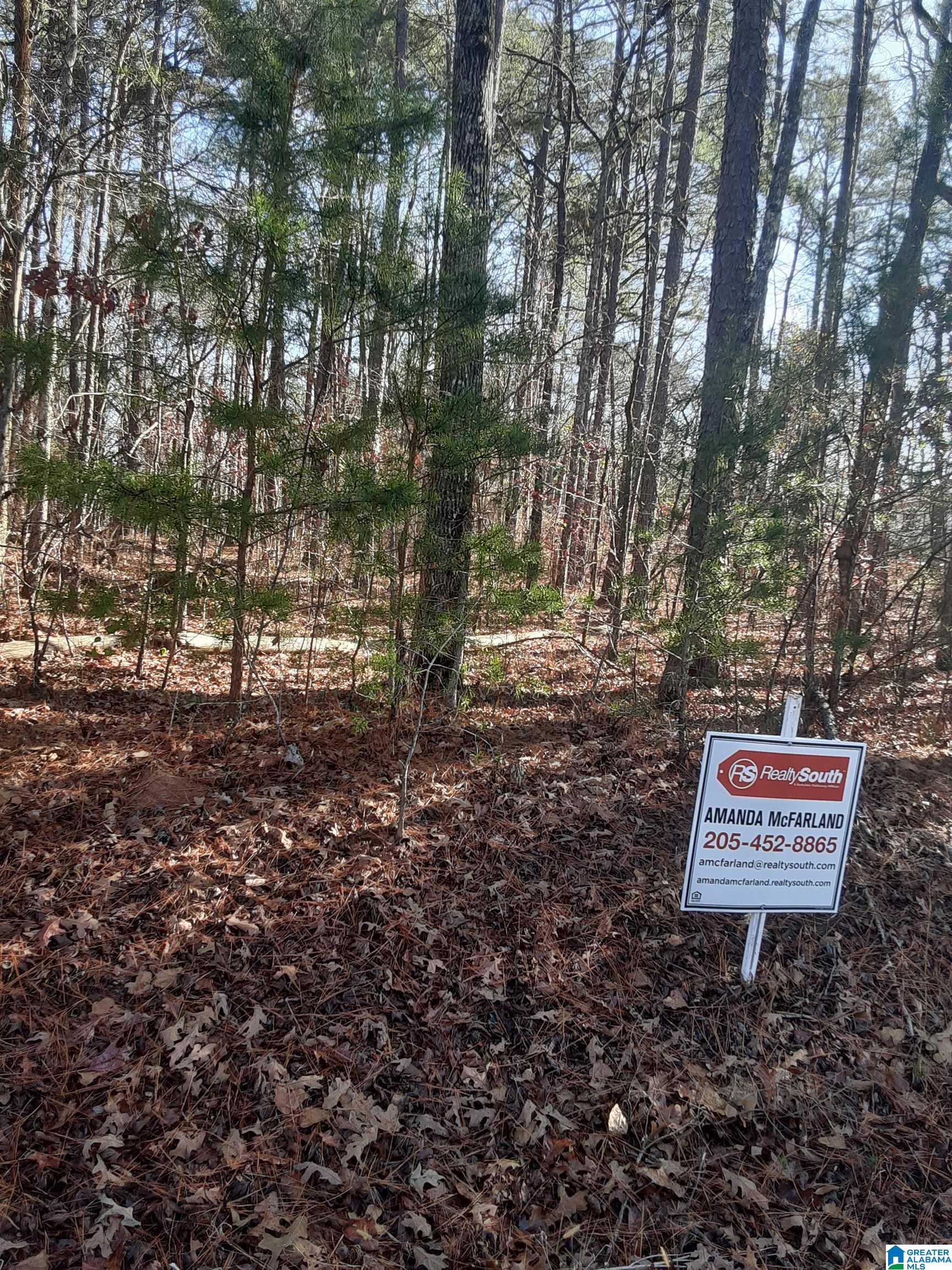 Deer Chase Road McCalla, AL 35111 - Photo 2 of 2