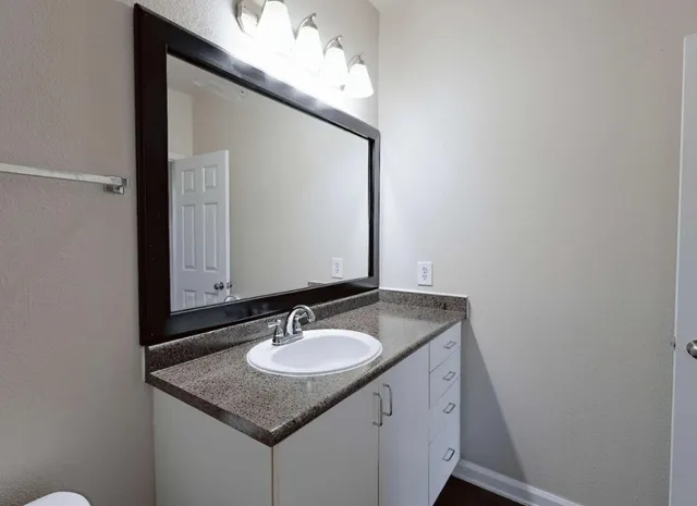 a bathroom with a sink vanity and a mirror