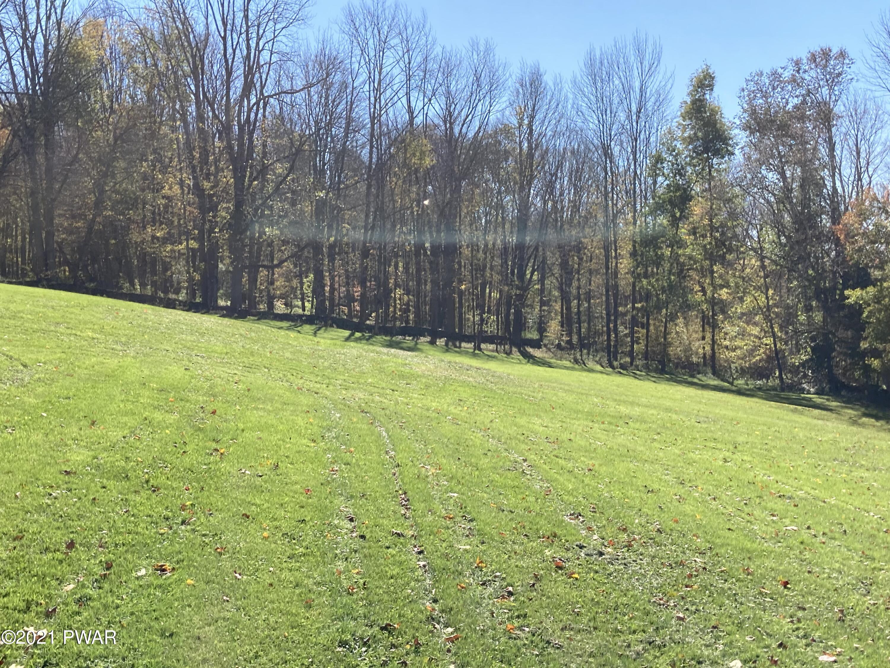 595 Stalker Hill Road Thompson, PA 18465 - Photo 40 of 43