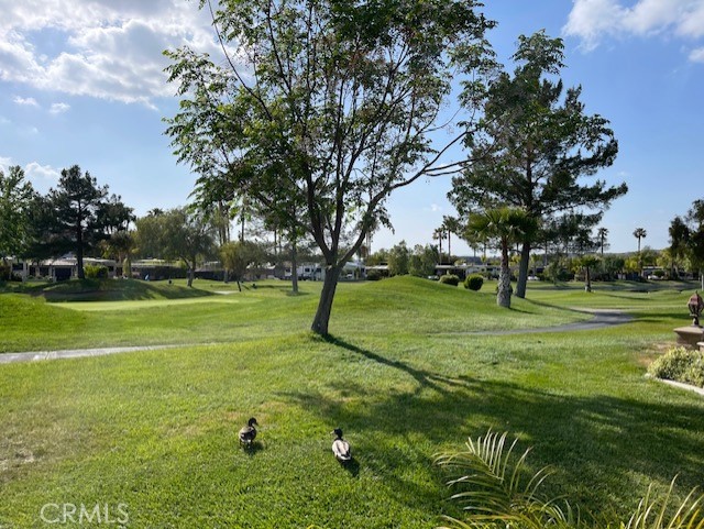 493 Highway 79 Aguanga Ca  