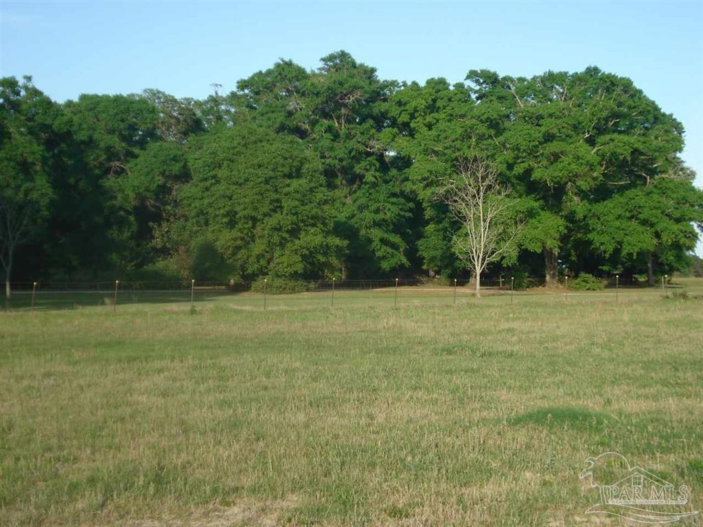 4929 Gilmore Road, Unit LOT 13 Baker, FL 32531 - Photo 2 of 10