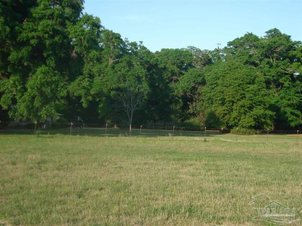 4929 Gilmore Road, Unit LOT 13 Baker, FL 32531 - Photo 7 of 10