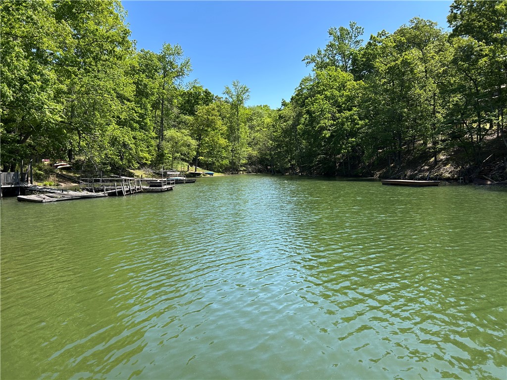 43 Sunset Cove Road Abbeville, SC 29620 - Photo 34 of 41 This tranquil waterfront setting provides direct access to the lake, surrounded by lush, mature trees.