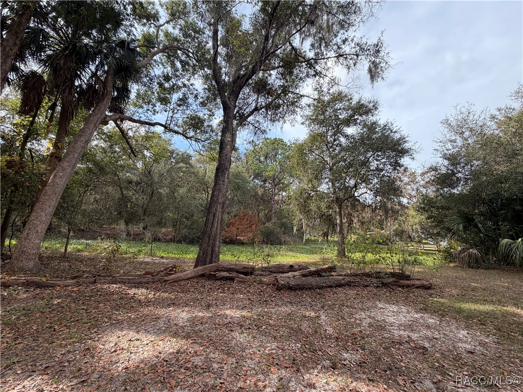 No Address No Address 201st Street Inglis, FL 34449 - Photo 6 of 9